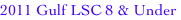 shapeimage_2_link_0