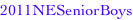 shapeimage_11_link_0