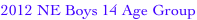 shapeimage_14_link_0