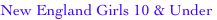 shapeimage_2_link_0