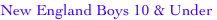 shapeimage_3_link_0