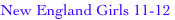 shapeimage_4_link_0
