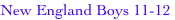 shapeimage_5_link_0