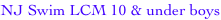 shapeimage_11_link_0