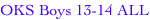 shapeimage_13_link_0