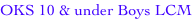 shapeimage_6_link_0