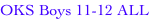 shapeimage_8_link_0