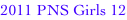 shapeimage_3_link_0