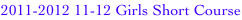 shapeimage_6_link_0