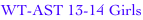 shapeimage_2_link_0